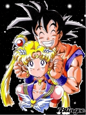 sailormoonandgoku